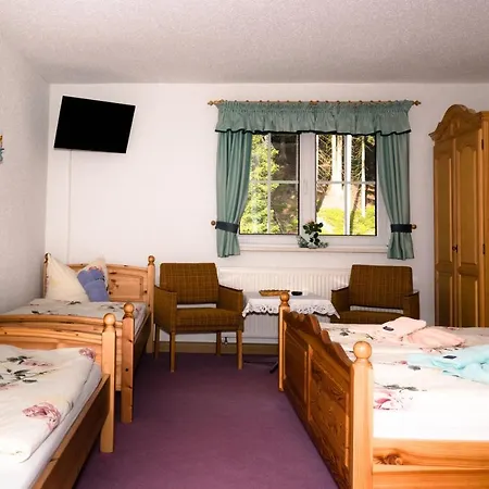 Hotel Waldhotel Dietrichsmuehle Crottendorf