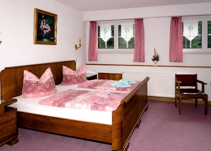 فندق Waldhotel Dietrichsmuhle 2*